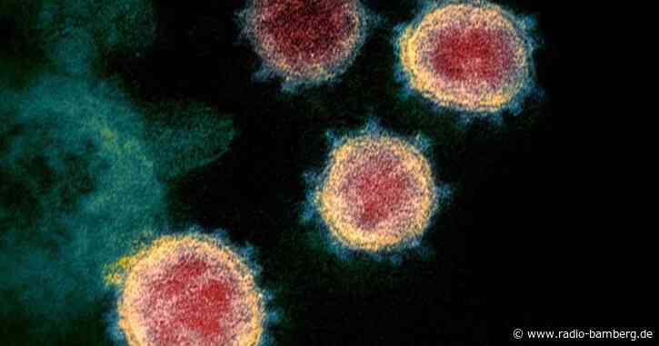 Tucher Blues&Jazzfestival in Bamberg – Planungen laufen.