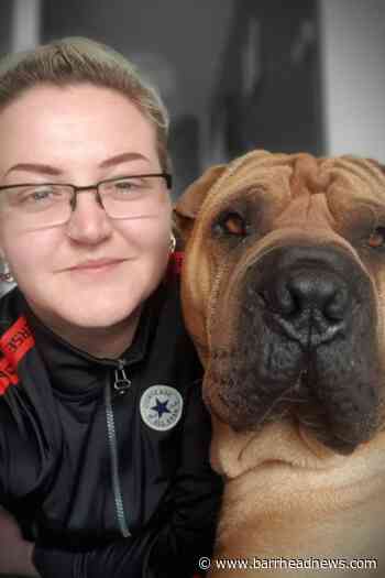 Perfect Pet winner is Top dog and earns owner £300 prize - Barrhead News