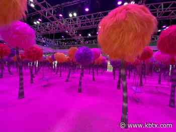 The world of Dr. Seuss is coming to life in Houston for the summer - KBTX