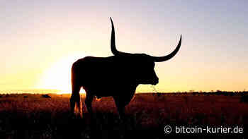 EOS feiert Comeback – Gelingt der Neustart mit Bullish Global? - Bitcoin-Kurier