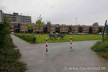 Moeder die ruzie wilde stoppen gestoken met mes<BR />