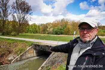 Problemen met 'Stinkvijver' blijven aanslepen: “Onze bever is inmiddels verdwenen” - Het Nieuwsblad
