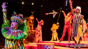 Disney live-streaming 'A Celebration of Festival of the Lion King' from Animal Kingdom | WATCH LIVE