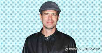 Scott Foley on Puppies, Plywood, and Pursuing Your Woodworking Dreams - Vulture