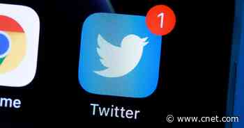 Twitter to call subscription service Twitter Blue, charge $2.99 a month, report says     - CNET