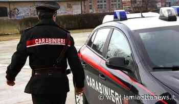 Denunciato giovane di Ardea trovato dai cani anti-droga con oltre un etto di droga in auto - La mia città NEWS