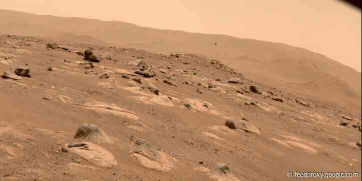 Life detected on Mars might have actually originated in NASA labs, according to an Ivy League scientist
