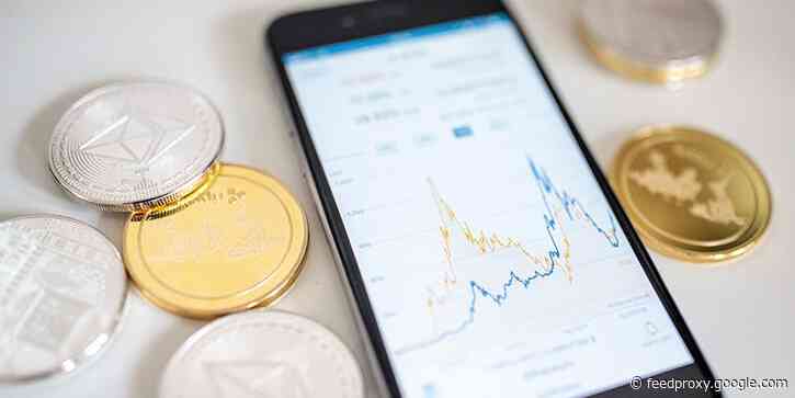Shiba Inu coin investment turned New York brothers into multimillionaires a few months after they bet $8,000 on the 'parody' cryptocurrency, reports say