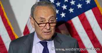 F. Peter Brown: Since When Is It Racist to Prevent Cheating in Elections?