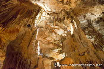 Putignano riapre i luoghi della cultura - Putignano Informatissimo