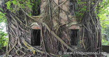 Nature Resurges to Overtake Abandoned Architecture in a New Book of Photos by Jonk - Colossal