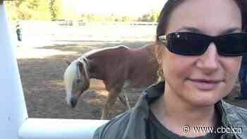 Embattled doctor steps down after allowing sex offender to mentor survivors at military trauma retreat