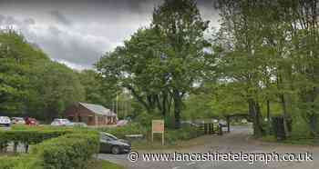 Ambitious plans to plant 116,000 trees by 2025 well under way in Chorley
