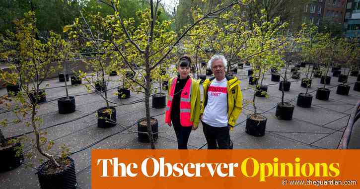 There’s a time and a place for trees – don’t transplant them for our amusement | Rowan Moore