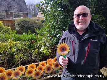 Calls for people to support Pendleside Hospice Sunflower Memory Appeal