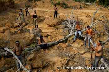 Amazon bishops say bill threatens Brazil's Indigenous peoples and forest - The Catholic Universe
