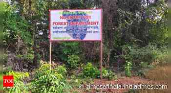 Mhadei sanctuary plundered of wealth, forest officials claim they are helpless - Times of India