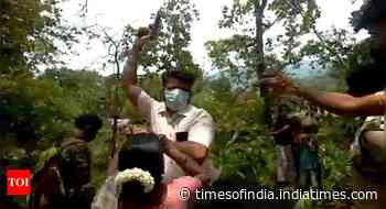 Act against forest officer or we’ll protest: Sattari locals - Times of India