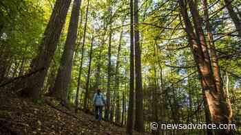 Forest Service trims Pedlar plan - Lynchburg News and Advance