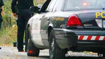 OPP identify human remains found near Mount Forest as missing man - CTV News London