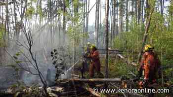 Forest fire hazard high across region - KenoraOnline.com