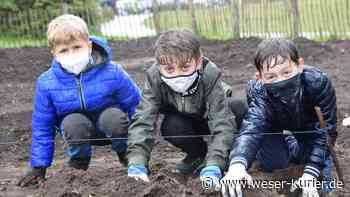 Projekt in Lilienthal: Schulstunde auf dem Kartoffelacker - WESER-KURIER - WESER-KURIER