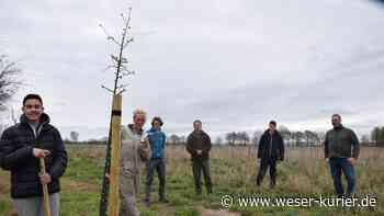 Schulen begleiten Streuobstallee in Lilienthal - WESER-KURIER - WESER-KURIER