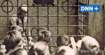 Qualvolle Stunden für Dora von Nessen im Pranger von Oschatz - Dresdner Neueste Nachrichten