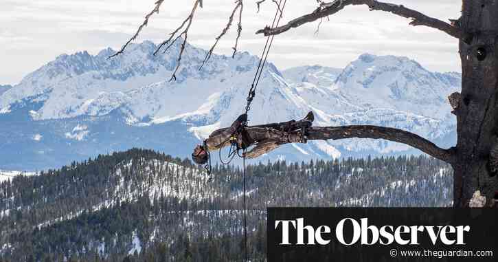 Matthew Barney: Redoubt; Igshaan Adams: Kicking Dust – review