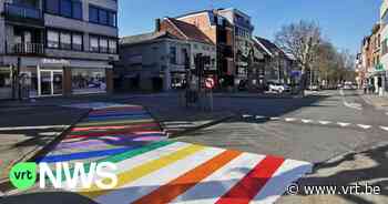 Homopaar uit Evergem verbaasd na vraag om te poseren bij nieuw regenboogpad: "Gemeente erkent ons niet als vaders" - VRT NWS