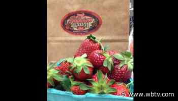 Rowan Arts & Ag Farm Tour coming up - WBTV