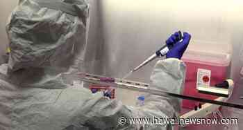 DOH investigating COVID clusters on Oahu, Maui tied performing arts - Hawaii News Now