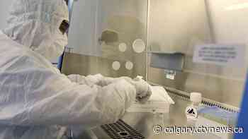 Calgary-based Providence Therapeutics sees positive COVID-19 vaccine trial, but federal support still lacking - CTV Toronto