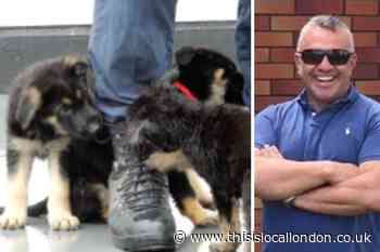 Police welcomes puppies in memory of sergeant Matt Ratana