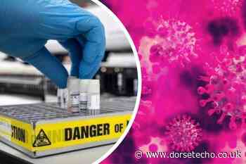 Coronavirus: Five new cases confirmed in Dorset in the last 24 hours - Dorset Echo