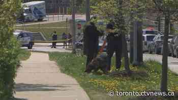 At least 5 people seriously injured in west-end Toronto shooting: police