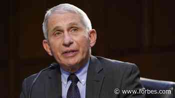 Fauci: Coronavirus Pandemic Unveiled The ‘Undeniable Effects Of Racism’ In U.S. - Forbes