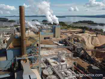 $3B deal to acquire Domtar has no impact on P.A. mill plans: Paper Excellence VP