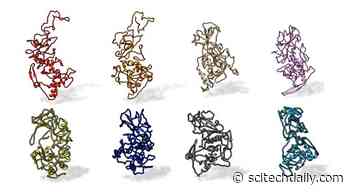 Antibody Binding-Site Conserved Across COVID-19 Virus Variants – Big Implications for Future Vaccines