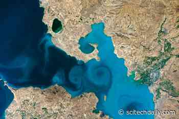 Tournament Earth 2021: See the Winning Astronaut Photograph