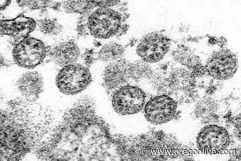 Coronavirus in Oregon: 507 new infections, 2 deaths, as new COVID-19 case counts continue to fall - OregonLive