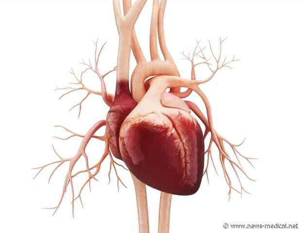 Older heart failure patients significantly benefit from tailored cardiac rehab program