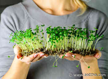 This Home Gardening Mistake Can Make Your Food Toxic, According To Experts | Eat This Not That - Eat This, Not That