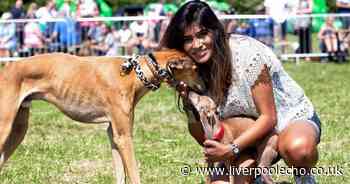 Mowgli dog show coming to Merseyside with food, funfair rides and Jonny Bongo - Liverpool Echo