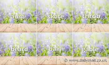 Can you decipher these food anagrams leaving other players hungry for a win? - Daily Mail