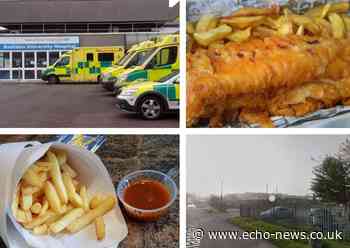 Southend Basildon: Latest food hygiene ratings for our firms | Echo - Echo