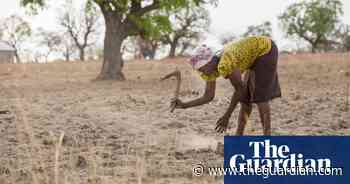 Third of global food production at risk from climate crisis - The Guardian