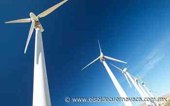 Políticas de México afectan biodiversidad - El Sol de Cuernavaca