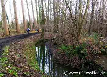 Singelwandelaars organiseren wandelingen op eigen tempo - Het Nieuwsblad