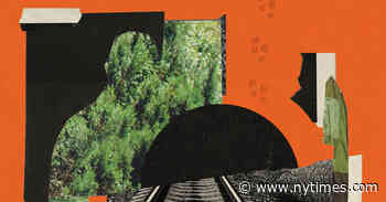 What Does ‘Freedom’ Really Mean?